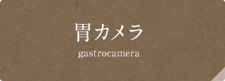 胃カメラ